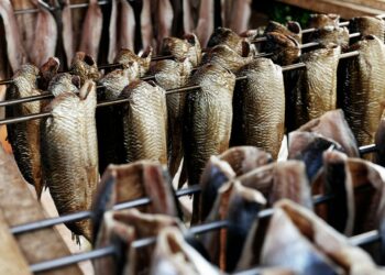 What Is The Recommended Ratio Of Omega-3 To Omega-6 Fatty Acids For Optimal Health?