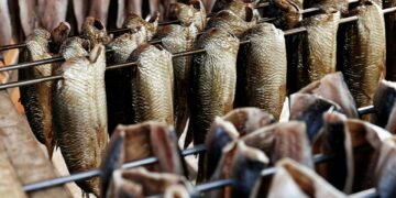 What Is The Recommended Ratio Of Omega-3 To Omega-6 Fatty Acids For Optimal Health?