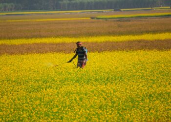 Study Links Pesticides To Escalating Parkinson’s Disease Risk