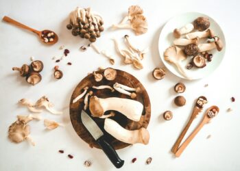 The Mushroom Miracle That Could Revolutionize Your Diet And Health