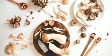 The Mushroom Miracle That Could Revolutionize Your Diet And Health