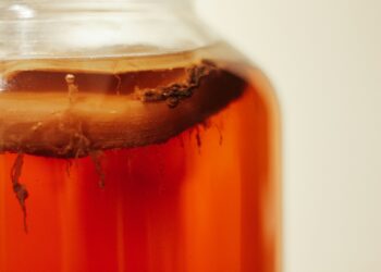 Kombucha’s Fat Burning Powers