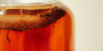 Kombucha’s Fat Burning Powers