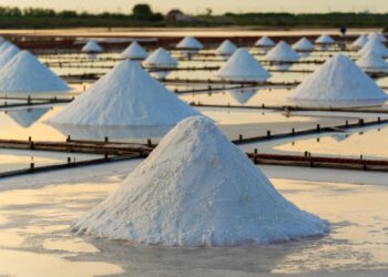 What Is The Recommended Limit For Daily Sodium Intake For Adults?