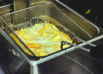 The Terrifying Effects Of Reused Frying Oil On The Brain