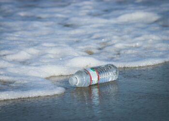 Alarming Discovery Linked To Brain Invasion