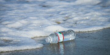 Alarming Discovery Linked To Brain Invasion