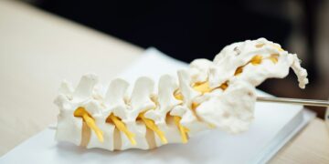Spinal Cord Injuries Found To Devastate Metabolism