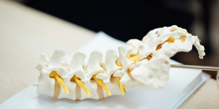 Spinal Cord Injuries Found To Devastate Metabolism