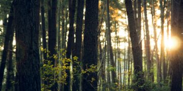 Diverse Environments Proven To Skyrocket Mental Health