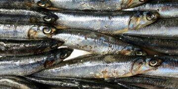 Which Of The Following Is Not A Type Of Omega-3 Fatty Acid?