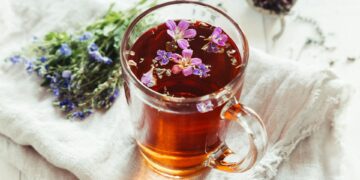 Secret Antioxidant Supplement Supercharges Memory