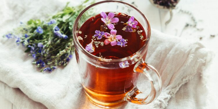 Secret Antioxidant Supplement Supercharges Memory