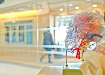 Brain Decline Hastened With Unique Diet