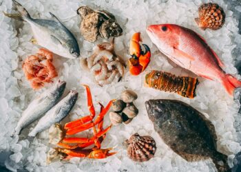 Seafood Could Be A Silent Carrier Of ‘Forever Chemicals’