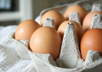 Egg Cholesterol Myth Gets Shattered