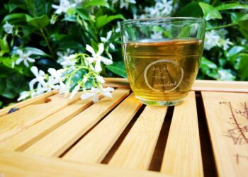 Certain Japanese Tea Unlocks Brain-Boosting Powers