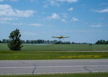 Pesticide Pollution Taints 20% Of Fresh Produce