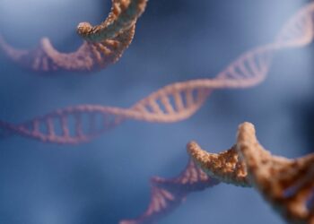 What’s The Name For The Protective Caps On Chromosomes?