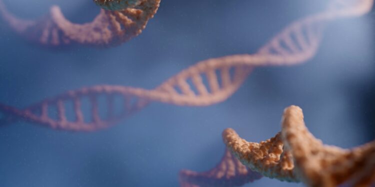 What’s The Name For The Protective Caps On Chromosomes?