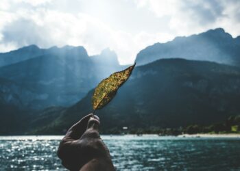 What Is The Term For The Study Of Factors Contributing To A Long And Healthy Life?