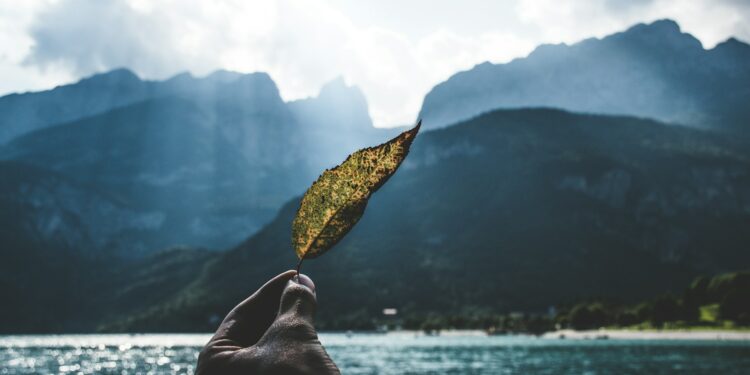 What Is The Term For The Study Of Factors Contributing To A Long And Healthy Life?