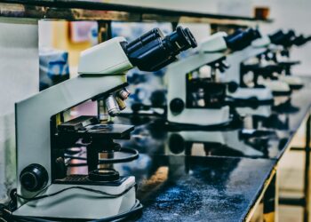 Which Type Of Cholesterol Is Known As “Good” Cholesterol?