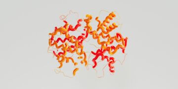 Which Amino Acid Is Essential For The Synthesis Of Serotonin?