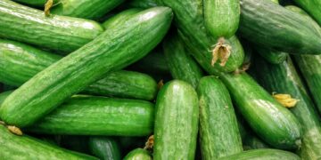Infected Cucumbers Lead To Illness In 25 States