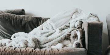 Discover The Key To Healthy Aging