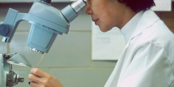 New Tool Revolutionizes Liver Cancer Detection