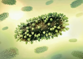 FDA Greenlights RSV Vaccine For Older Adults