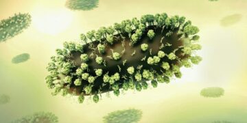 FDA Greenlights RSV Vaccine For Older Adults