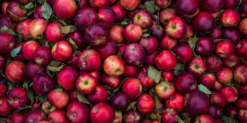 FDA Exposes Shocking Negligence In Dollar Tree