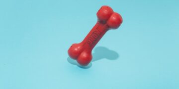 Which Of The Following Is NOT A Type Of Bone Cell?