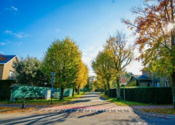 The Location That Leads To True Happiness