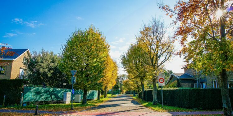 The Location That Leads To True Happiness