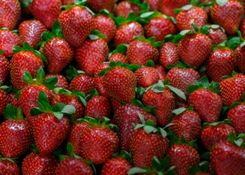 What Is The Primary Mechanism By Which Antioxidants Protect The Body?