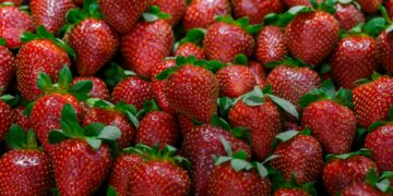 What Is The Primary Mechanism By Which Antioxidants Protect The Body?