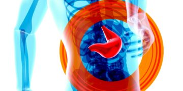 Researchers Turn Back The Clock On Liver Aging