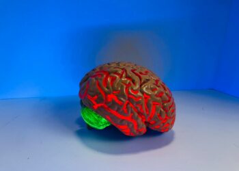 Which Condition Involves Inflammation Of The Membranes Covering The Brain?