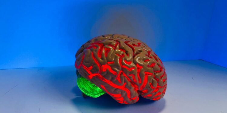 Which Condition Involves Inflammation Of The Membranes Covering The Brain?