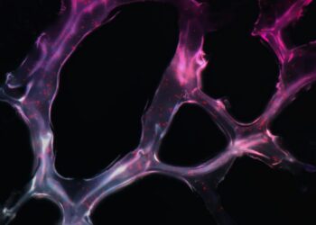 Tip In Preventing Chemotherapy Nerve Damage