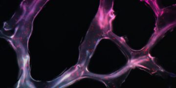 Tip In Preventing Chemotherapy Nerve Damage