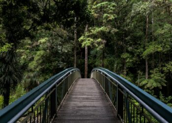 Nature’s Secret To Heart Health