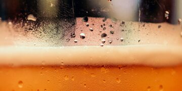 Daily Beer Consumption Linked To 2-Month Life Reduction