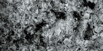 Toxic Chemicals Found In Feminine Product