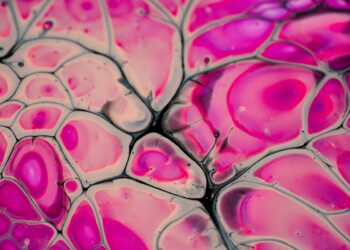 What Is The Primary Role Of The Microbiome In Human Health?