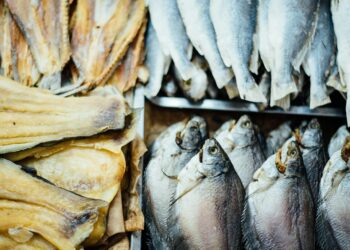 Fish Oil Shows Promise For High-Risk Seniors