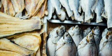 Fish Oil Shows Promise For High-Risk Seniors